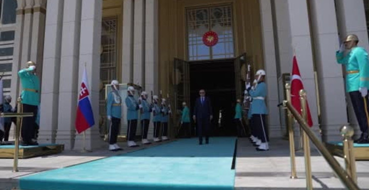 Cumhurbaşkanı Erdoğan'ın Slovakya Cumhurbaşkanı Pellegrini ile görüşmesi