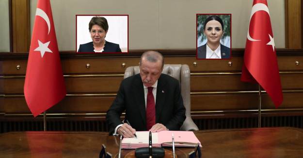 Cumhurbaşkanlığı Başdanışmanlığına Atama Yapıldı