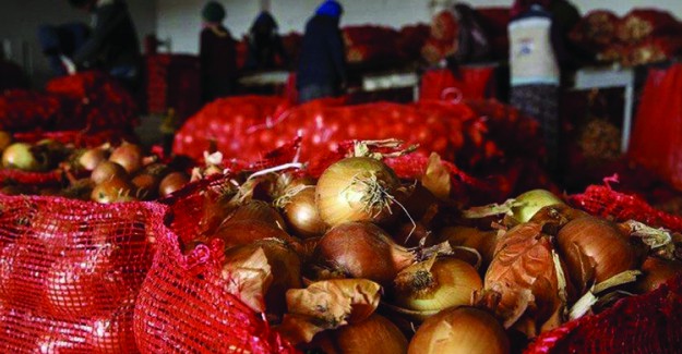 Cumhurbaşkanlığı'ndan Kuru Soğan Hamlesi!