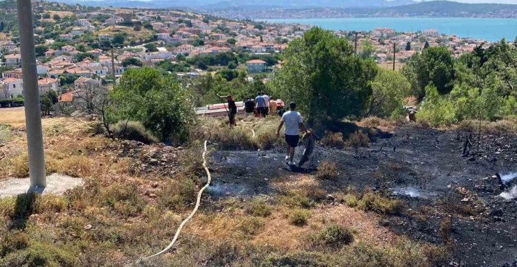 Cunda Adası'nda orman yangını kontrol altına alındı