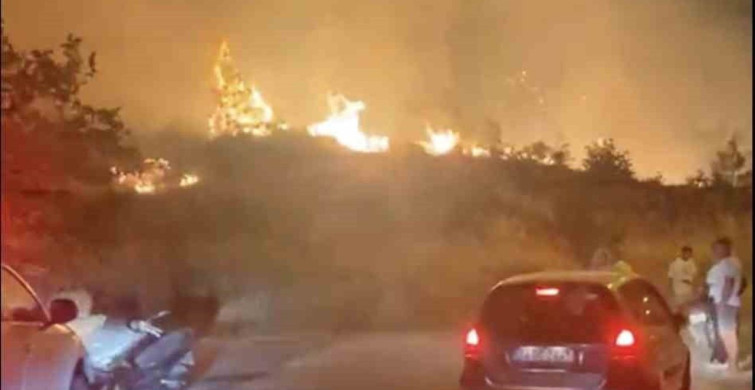 Cunda Adası’ndaki orman yangını kontrol altına alındı