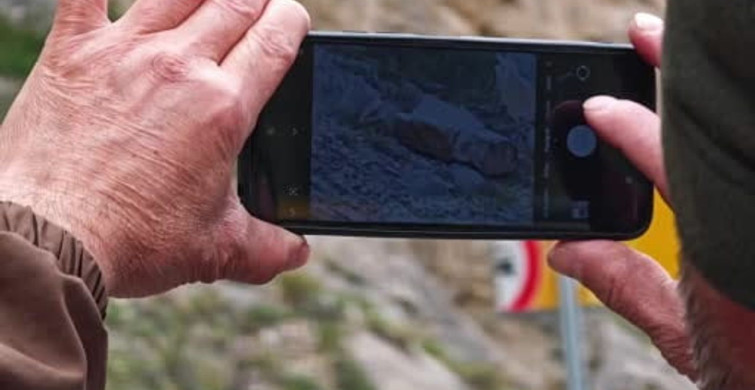 Dağ Keçileri Erzurum'da Ana Yola İndi
