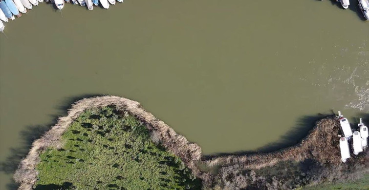 Dalyan Kanalı'nda Su Seviyesi Kritik Derecede Yükseldi