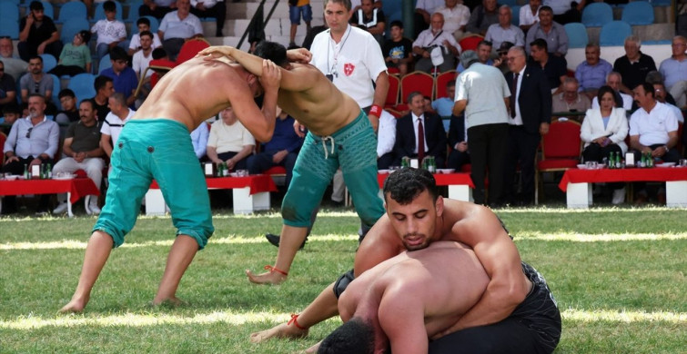 Darende'de 72. Zengibar Karakucak Türkiye Şampiyonası Başladı