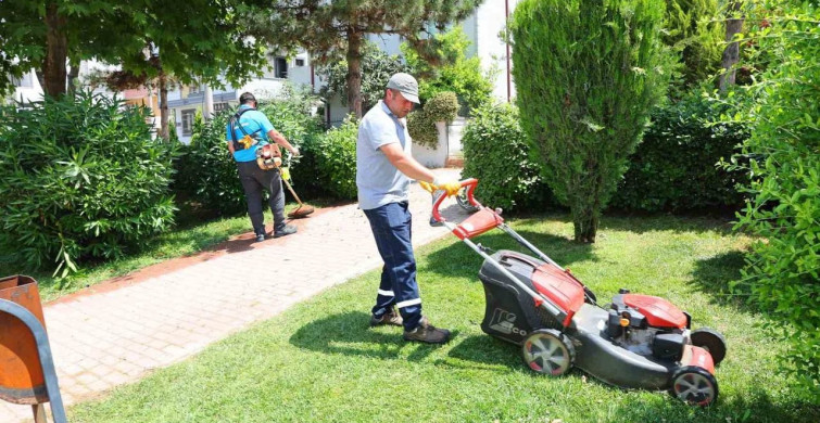 Darıca'da yaz temizlik çalışmaları devam ediyor