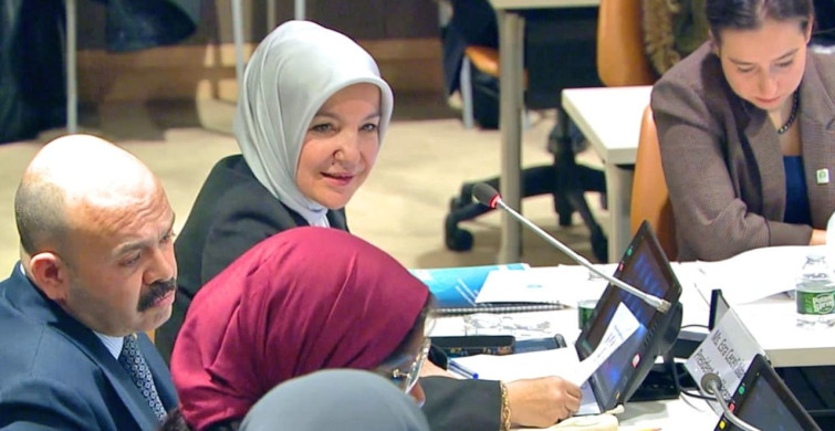 Darülaceze, BM'de Tanıtıldı: İyi Uygulama Örneği