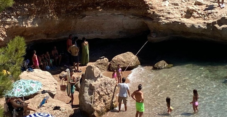 Datça'da Fok İzleme Çalışmaları Başladı