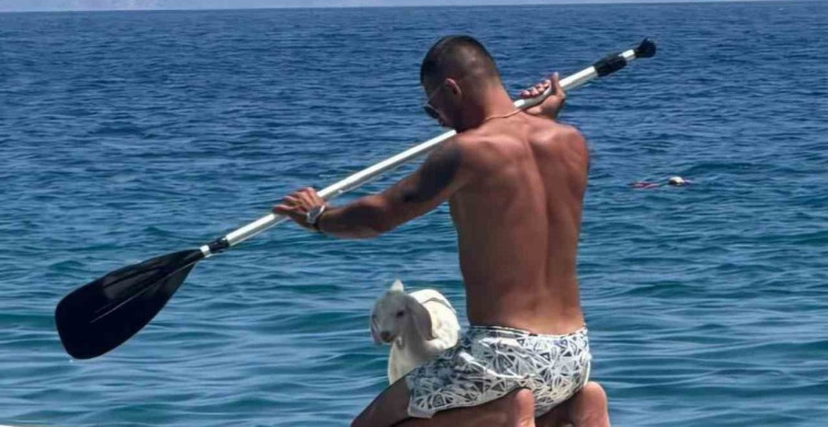 Datça'da Sevimli Keçi Yavrusu Kano Gezisiyle Göz Doldurdu