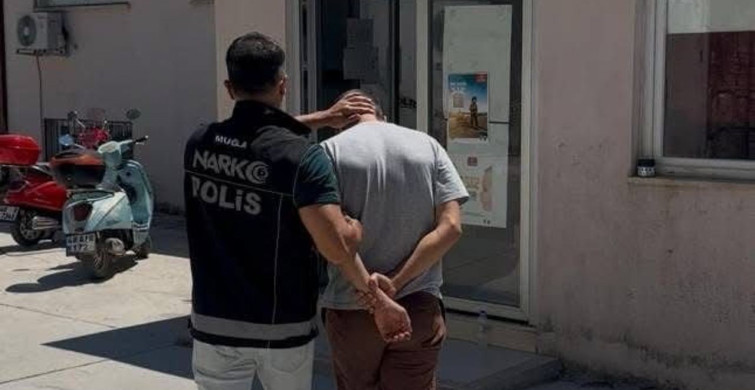 Datça'da uyuşturucu operasyonu: 200 kök Hint keneviri ele geçirildi, 1 tutuklama