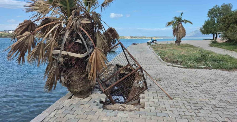 Datça'daki Şiddetli Fırtına Sonrası Hasar Tespiti