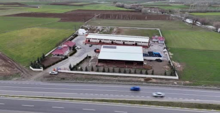 Dede Mesleği Çiftçiliğe Yöneldi: Enes Öksüm'ün Hikayesi