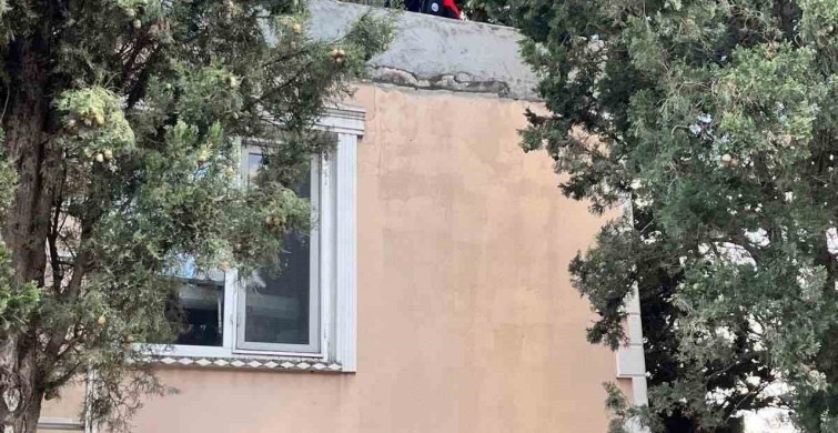 Defne'de İtfaiye Ekiplerinden Kedilere Kahramanlık