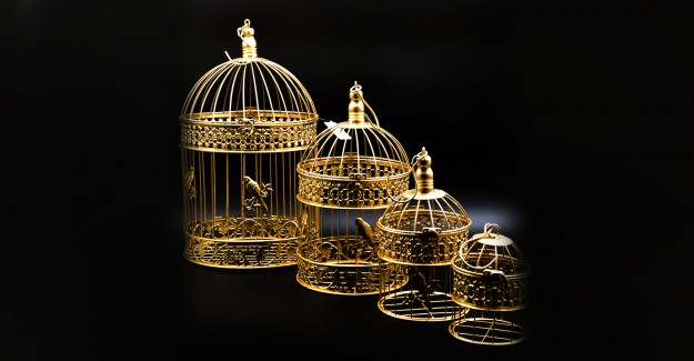 Dekoratif Kafes