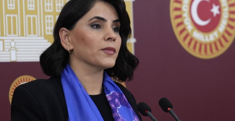 DEM Parti Milletvekilleri Basın Toplantısı Düzenledi