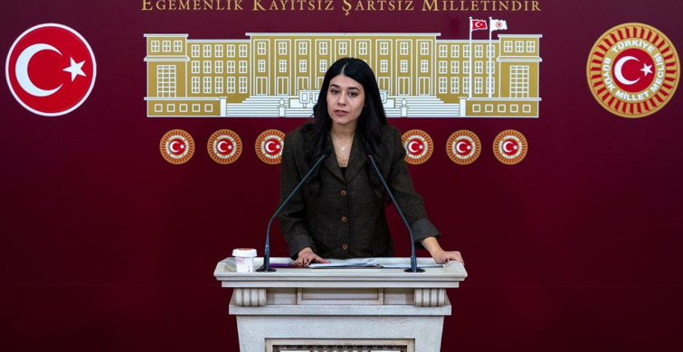 DEM Parti Milletvekillerinden Meclis'te Basın Toplantısı