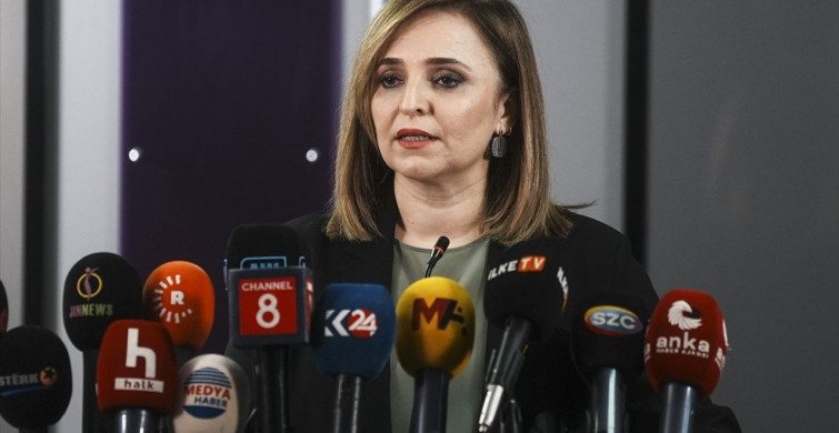 DEM Parti Sözcüsü'nden Uçak Kazası Açıklaması