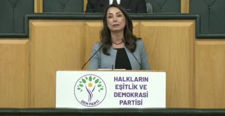 DEM Parti'nin Yasal Düzenlemeler Çağrısı