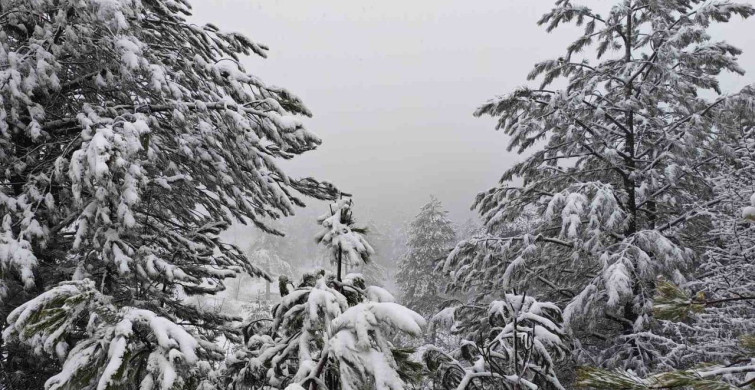 Demirci İlçesinde Kar Yağışı Etkili Oluyor