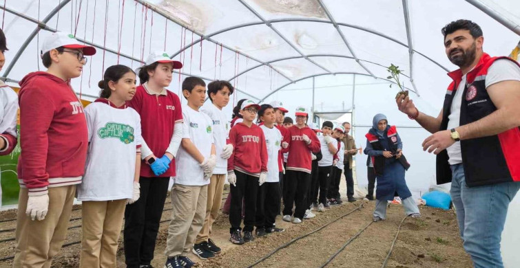 Demirkent TOKİ İlkokulu'nda Fide Dikimi Etkinliği