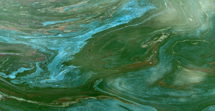 Demirköprü Barajı'nda Yosun Problemine Dikkat!