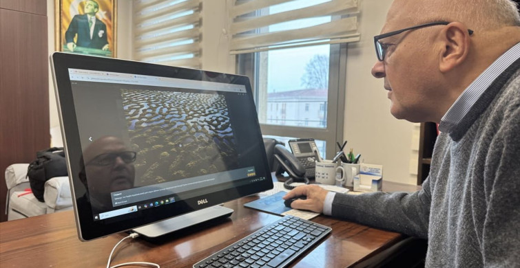 Deniz Bilimcilerden Yılın Kareleri Oylamasına Katılım