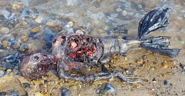 Deniz Kızına Benzeyen Gizemli Ceset Ülkeyi Ayağa Kaldırdı