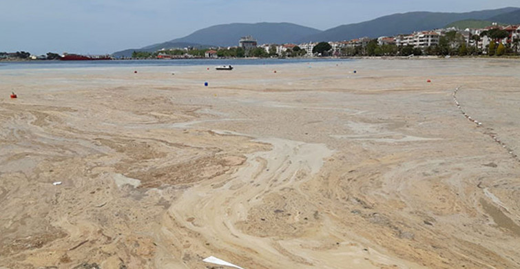 Deniz Salyası Sorunu Çözülecek! AK Parti’den Deniz Salyası İçin Özel Komisyon