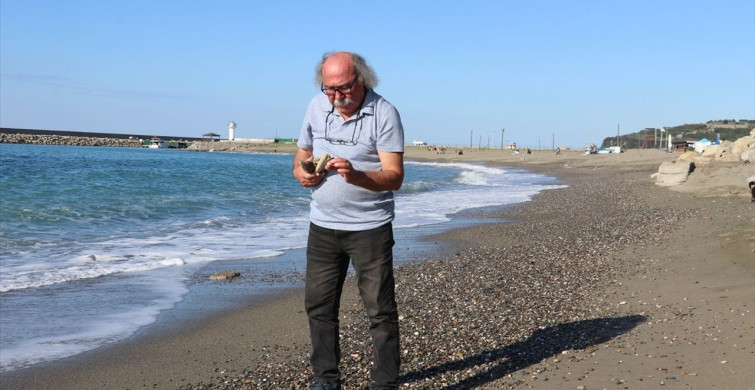 Denizden Gelen Hazineler: Mehmet Türkçelik'in Sanatı Denizden Gelen Hazineler: Mehmet Türkçelik'in Sanatı