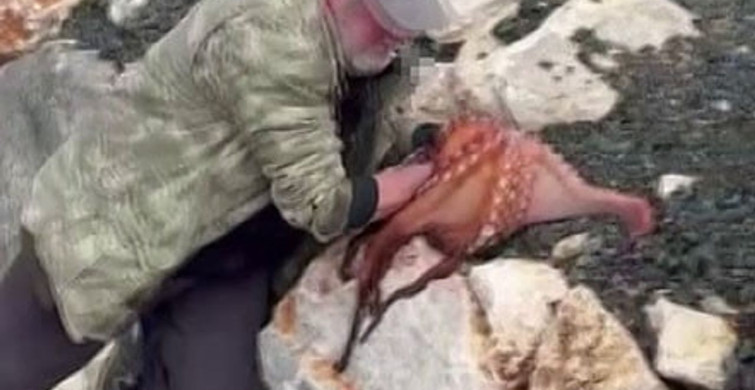 Denizden Toplanan Dev Ahtapot: İzmir'de Şaşırtan Anlar