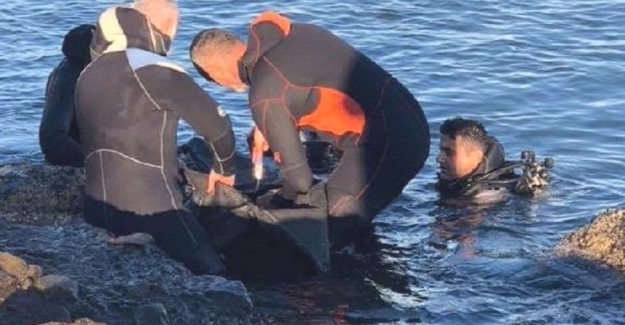 Denize Düşen Gencin Cansız Bedeni Bulundu