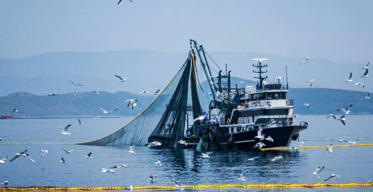 Denizlerdeki Av Yasağı 15 Nisan'da Başlıyor