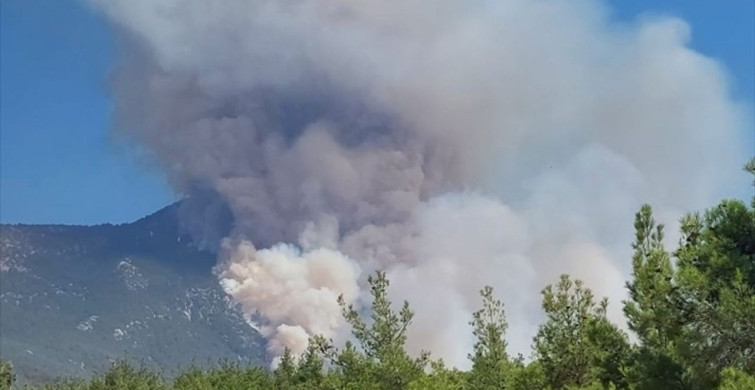 Denizli Pamukkale'de Orman Yangınına Müdahale
