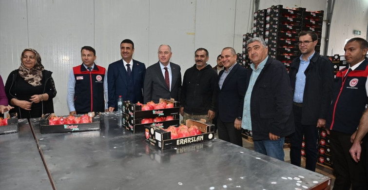Denizli'de İhracat İçin Nar Hasadı Başladı