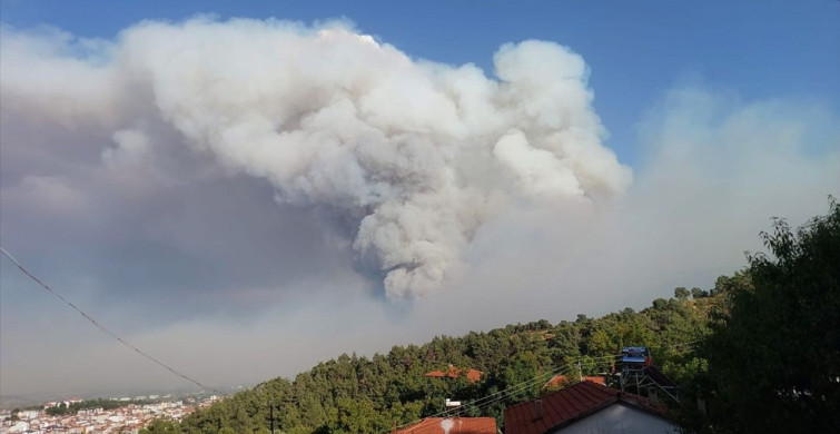 Denizli'de Orman Yangınına Müdahale Devam Ediyor