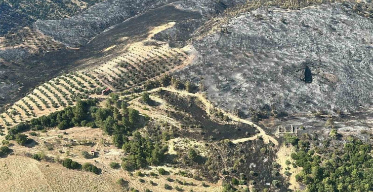 Denizli’de pamukkale yakınlarında çıkan yangın kontrol altına alındı