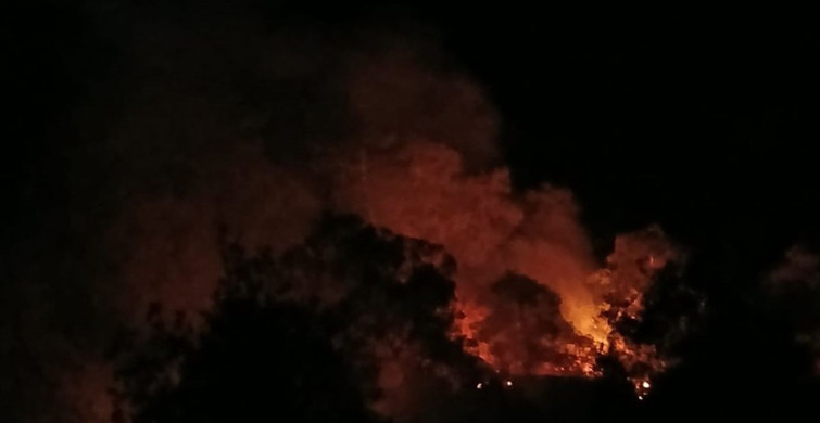 Denizli'deki Orman Yangını Kontrol Altına Alındı