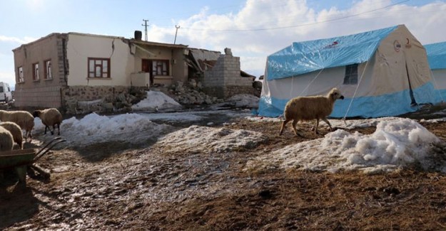 Depremde Telef Olan Hayvanlar İçin Ödeme Yapılacak