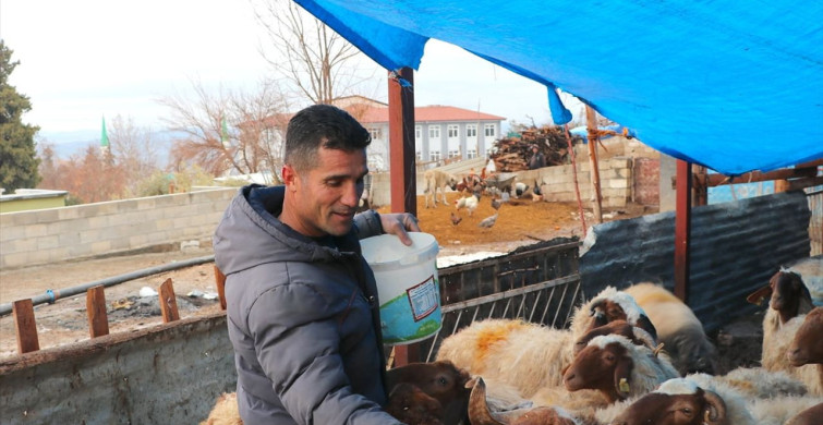 Depremzede Besici, Devlet Desteğiyle Hayvan Sayısını Artırdı