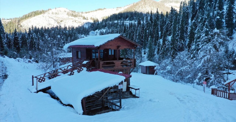 Deresökü Orman Parkı'nda İlk Kar Görsel Şöleni