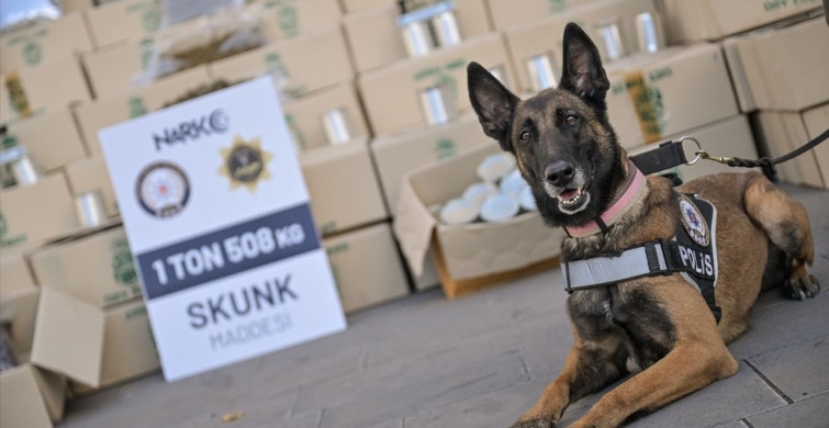Derince Limanı'nda Uyuşturucu Operasyonu: 1 Ton 508 Kilogram Ele Geçirildi
