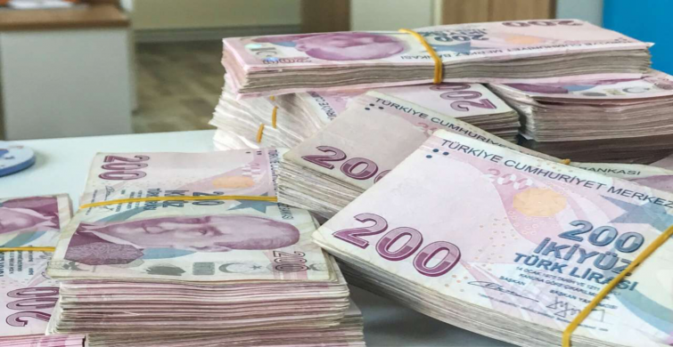 Destek ödemeleriniz tek tek hesaba yatarken; 44.000 TL alacağınız daha çıkacak! Beklemeden birikmişinizi alabileceksiniz