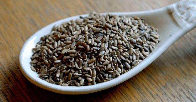 Deve Dikeni Tohumu Nedir?