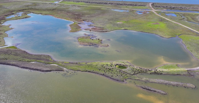 Devegeçidi Baraj Gölü Mevsimsel Yağışlarla Yeniden Doldu