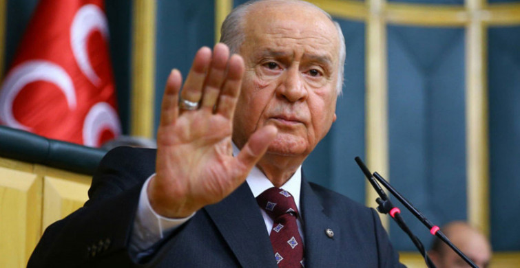 Devlet Bahçeli: Zillet Partileri, Kağıttan Kaplan