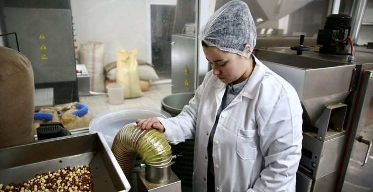 Devlet Desteğiyle Fındık İşleme Tesisi Kurdu: Esma Simay Gemici'nin Başarı Hikayesi