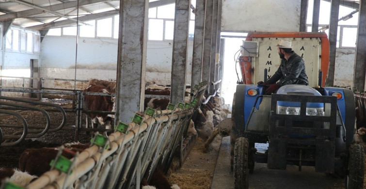 Devlet Desteğiyle Hayvan Sayısını 4'ten 80'e Çıkardı