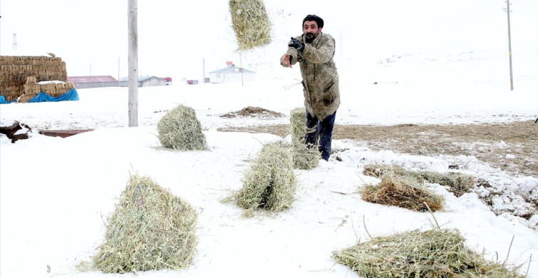 Devlet Desteğiyle Koyun Sürüleri Büyüyor