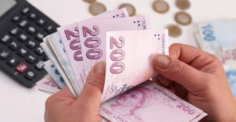 Devlet ihtiyaç sahiplerine 1100 TL ödeyecek! Başvurular E-Devlet’ten yapılacak