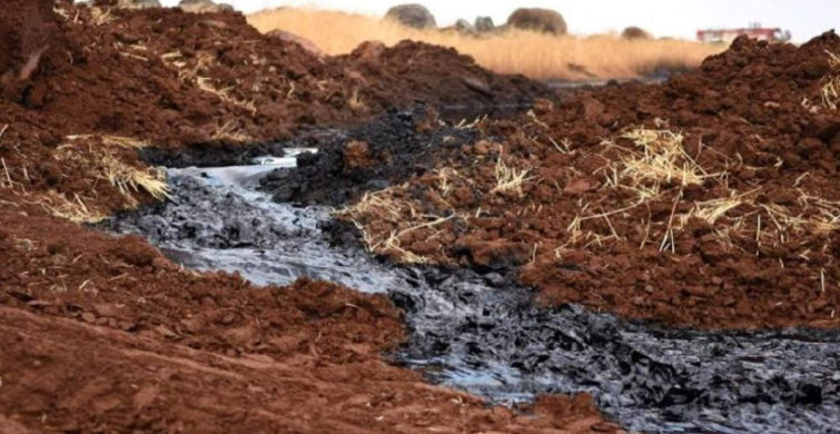 Dicle Nehri’ne tonlarca petrol aktı: AFAD ve itfaiye ekipleri olay yerinde