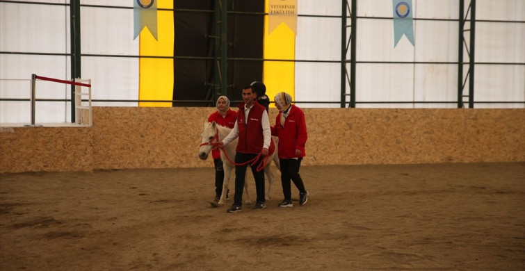Dicle Üniversitesi'nde Atçılık ve Hippoterapi Merkezi Açıldı